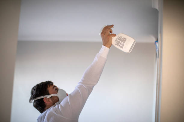 Best Post-Flood Mold Remediation in Pomona, CA