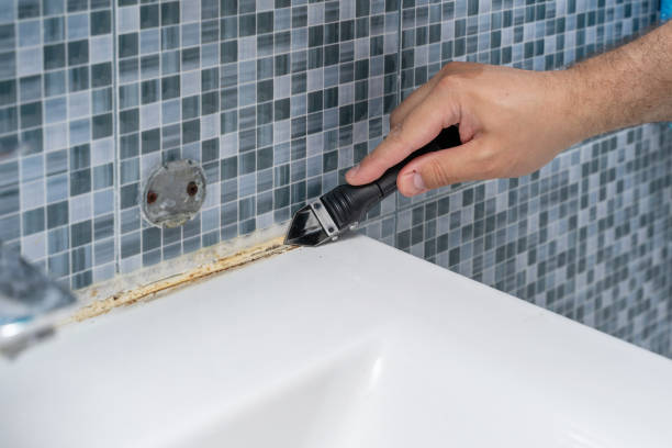 Best Commercial Mold Remediation in Pomona, CA